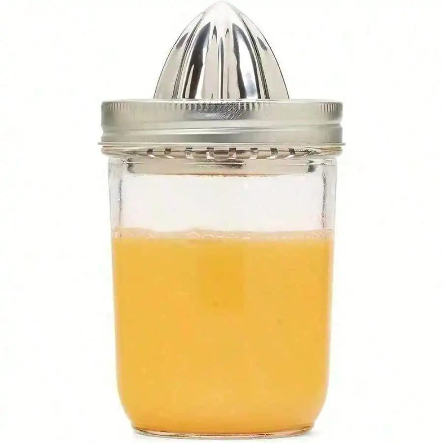 Stainless Steel Citrus Juicer