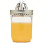 Stainless Steel Citrus Juicer