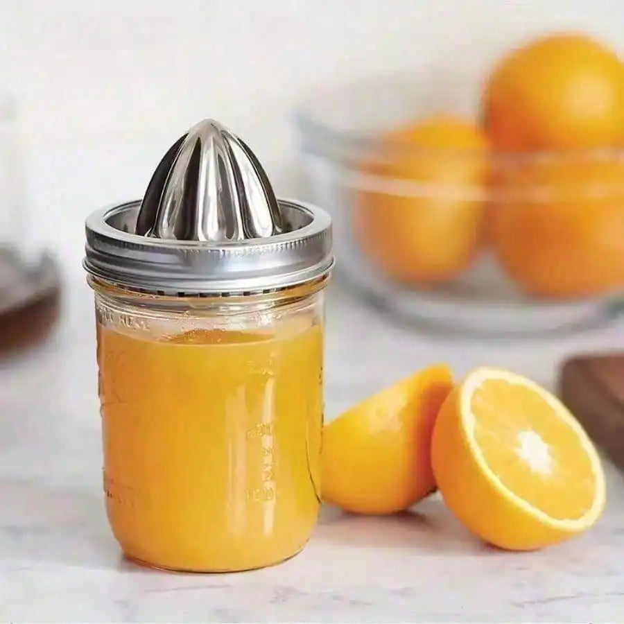 Stainless Steel Citrus Juicer