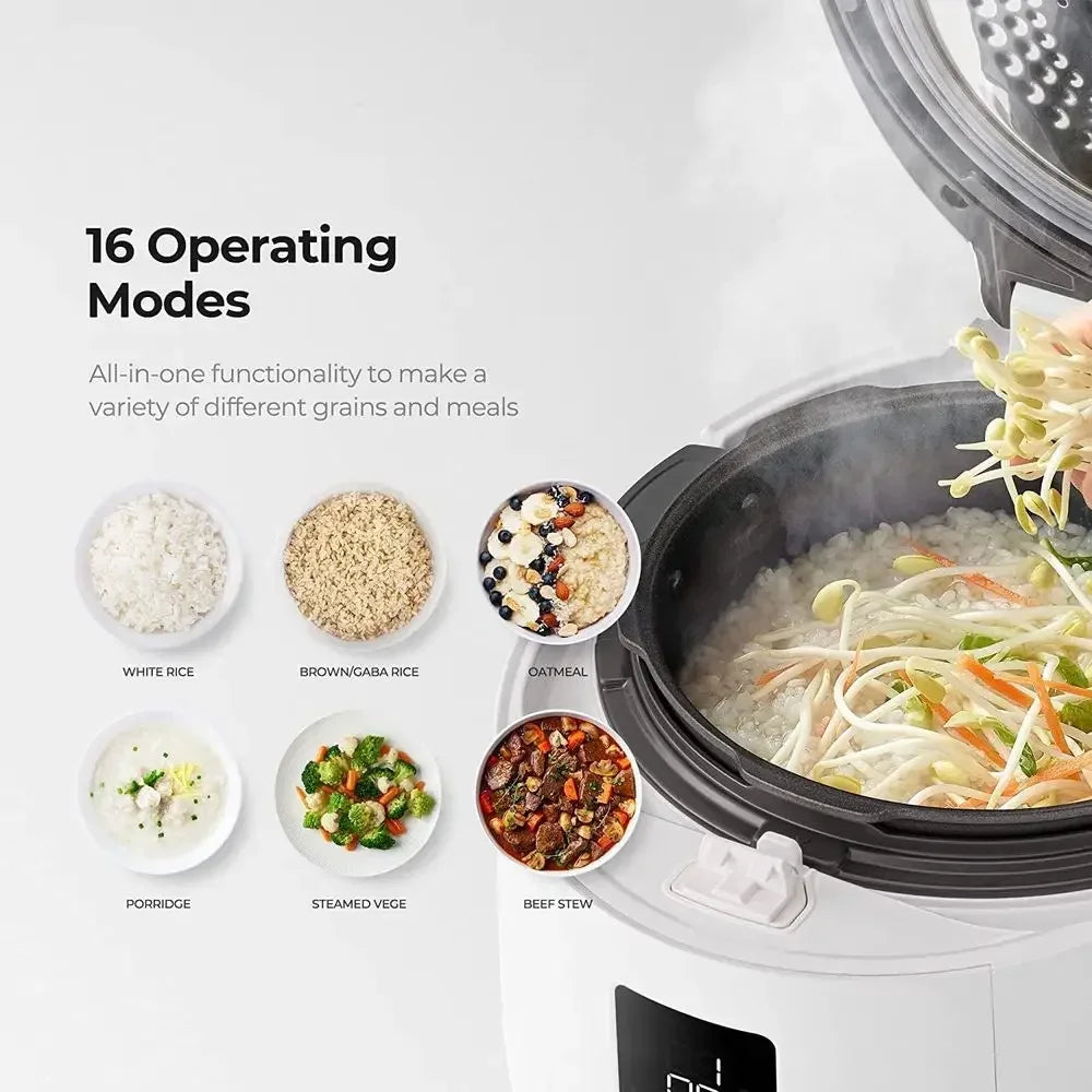 6-Cup Rice Cooker & Warmer